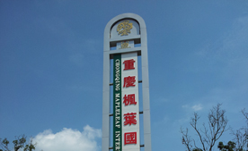 重庆枫叶立柱